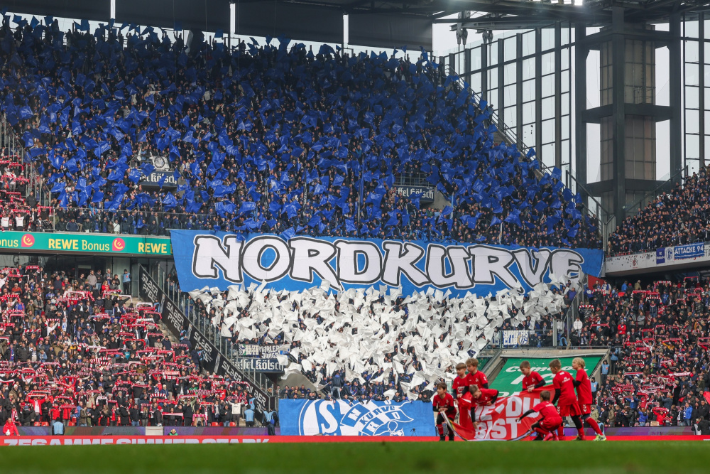 沙尔克新士兵亮相，球迷探望训练